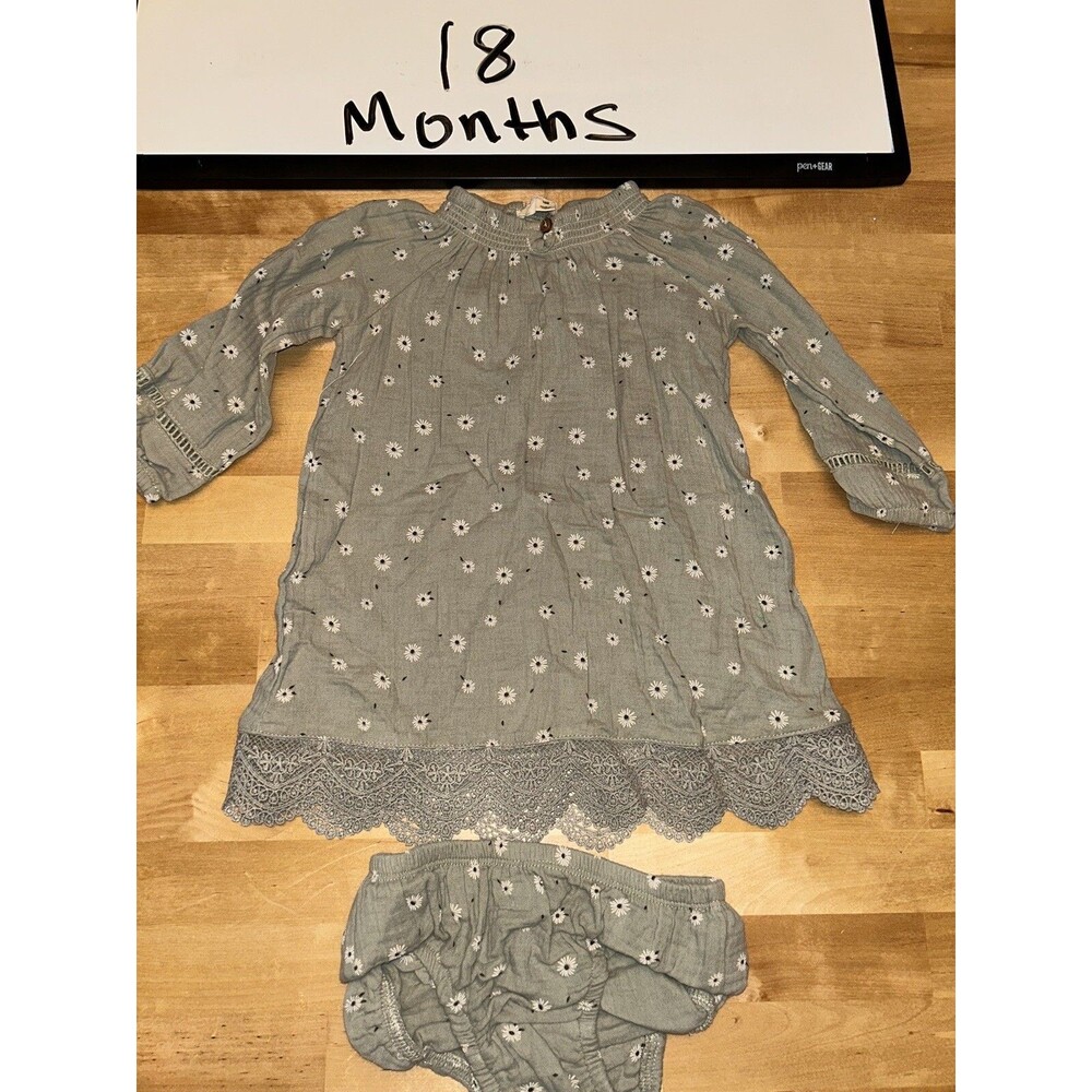Baby Girl Jessica Simpson Sage Green Floral Long Sleeve Dress Size 18 Months